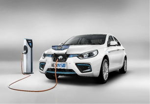 為什么電動車被調侃為電動爹,真的是花錢買罪受