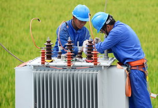 紹興嵊州供電公司 精品臺區 可靠電網護航美麗 越劇原鄉 建設