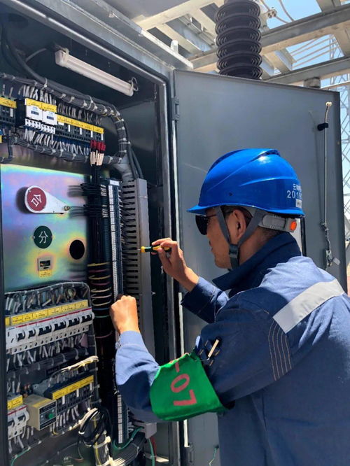 南方電網(wǎng)一大群 丁真 正向你走來