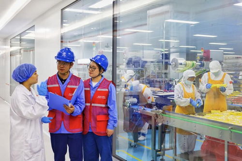 奮進(jìn)強(qiáng)國(guó)路 闊步新征程 為美好生活充電 電力工程的勘察